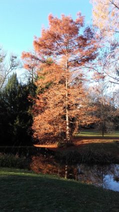 20161129_095425_1
