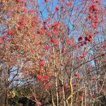 20161129_100346_1