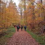 Von Waldenbuch nach Rohr 12.11.2016