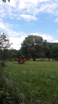 20170627_123604
