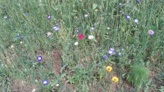 20170627_124623