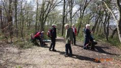 eningen-29-04-17-11