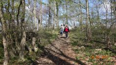 eningen-29-04-17-12