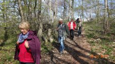 eningen-29-04-17-13