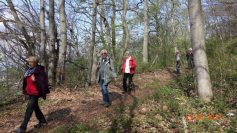 eningen-29-04-17-14