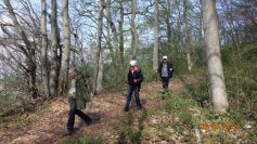 eningen-29-04-17-15