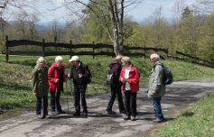 eningen-29-04-17-17