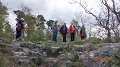 eningen-29-04-17-19