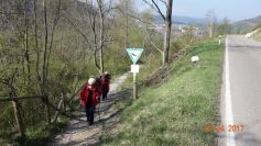 eningen-29-04-17-5