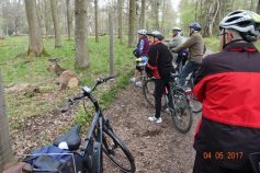 fahrradtour-mit-dem-albverein-4-5-2017-18