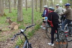 fahrradtour-mit-dem-albverein-4-5-2017-19