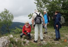 traifelberg-4
