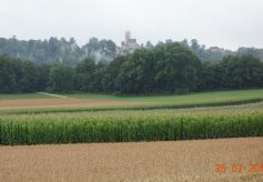 traifelberg-8