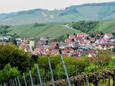 k-img_1379