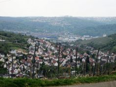 k-img_1386